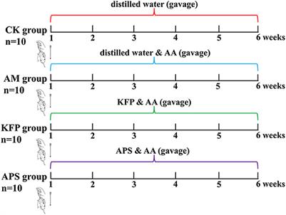 Effects of kiwi fruit (Actinidia chinensis) polysaccharides on metabolites and gut microbiota of acrylamide-induced mice